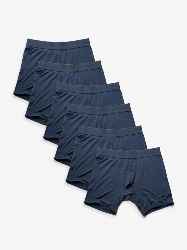 Boxer-Brie_NVx6_750x1000_10a68596-b0e0-4307-bb8c-773266cddc7f.png
